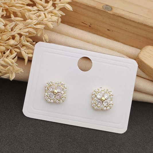 Small glittering Earrings
